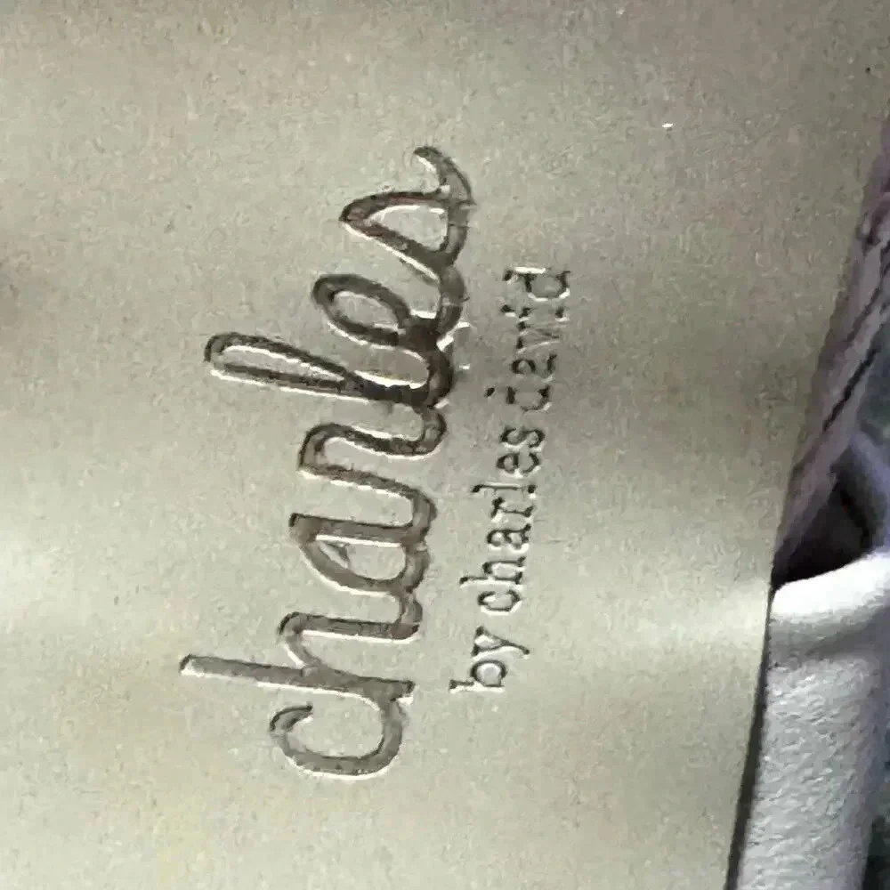 Charles by Charles David INTUIT SANDAL Platform Chunky Heel Nude Women’s 7 New - Picture 7 of 8